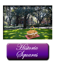 savannah picnic wedding